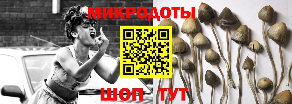 Псилоцибиновые грибы GOLDEN TEACHER  Вход с VPN  Псилоцибиновые грибы мухоморы  Заинск 